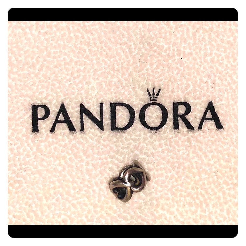Pandora Charm